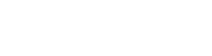 Anima Flux